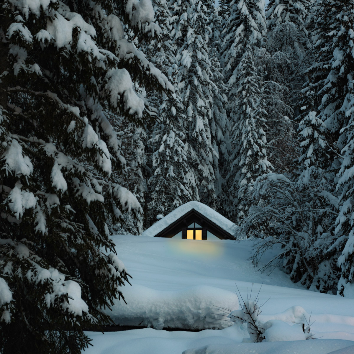 Winter cottage